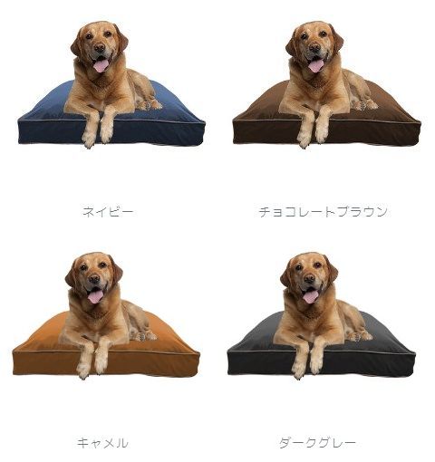 ドギボー（Doggybo）のカバーは4色