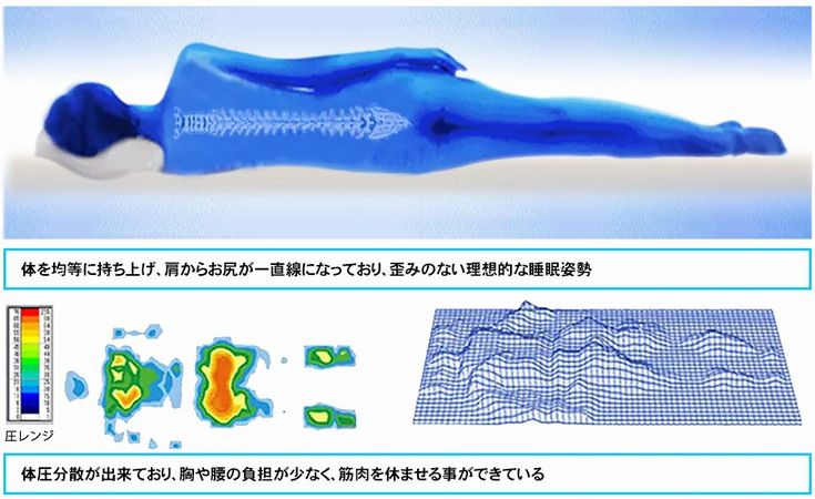 モットンマットレスの特徴2：体圧分散に優れ、腰への負担を可能な限り軽減