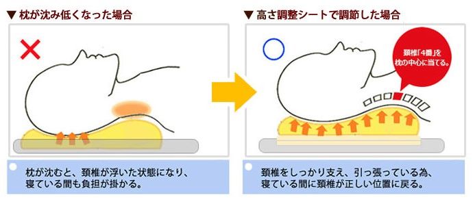 モットン枕は頸椎を支える構造