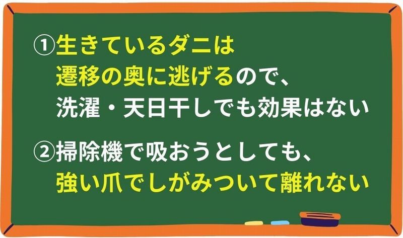 天日干しや掃除機のダニ対策が効かない理由