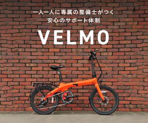 VELMOペガサス